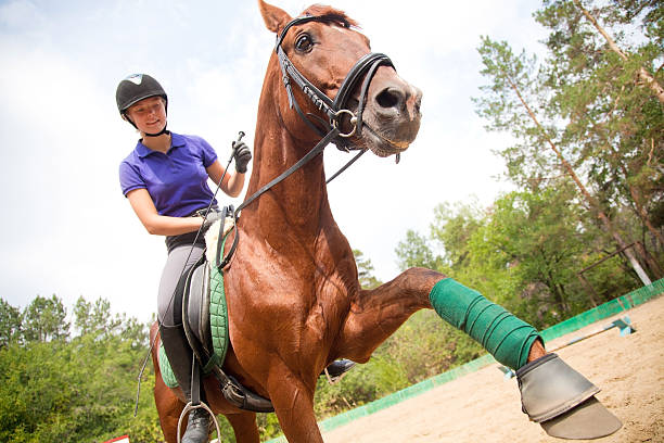 horsewoman