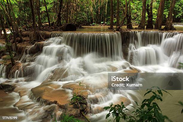 Photo libre de droit de Dedicase Cascade banque d'images et plus d'images libres de droit de Animaux à l'état sauvage - Animaux à l'état sauvage, Arbre, Beauté