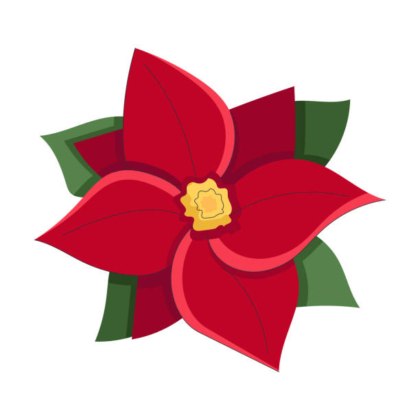 ilustrações, clipart, desenhos animados e ícones de ramo verde minimalista simples de uma poinsettia com folhas e flor vermelha. coleção floral de plantas coloridas e elegantes para decoração sazonal. ícones estilizados de botânica. ilustração vetorial de stock. - isolated on white growth symbol poinsettia