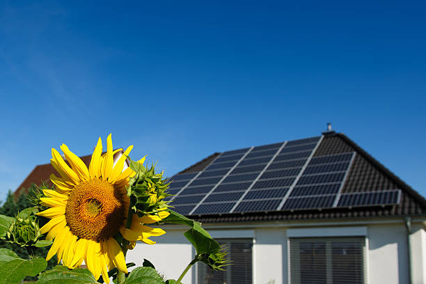 painéis solares no telhado com flores de sol - klimaschutz - fotografias e filmes do acervo