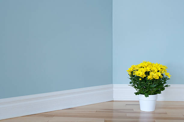 istock Yellow daisies in white pot decorating a room 177417355