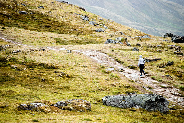 istock Walking the Alaska Moors 177417365