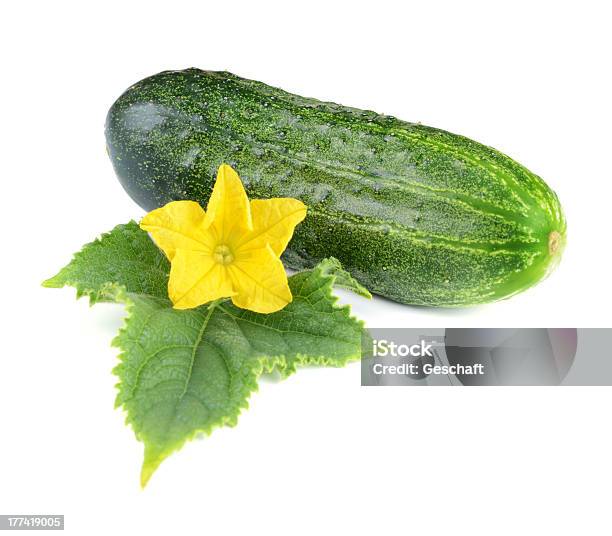 One Cucumber Vegetable With Leaf And Flower Stock Photo - Download Image Now - Color Image, Cucumber, Cut Out