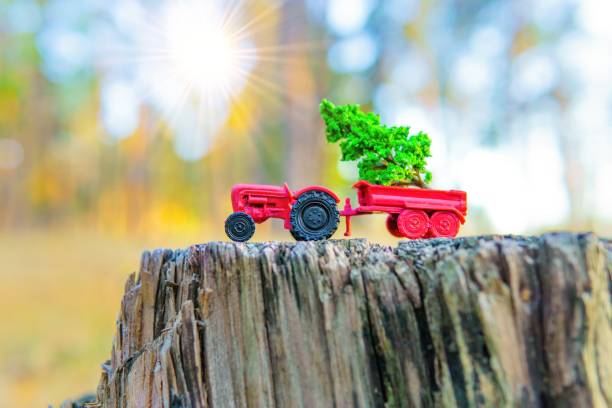 istock Toy Tractor with Mini Tree on a Tree Stump in the Woods 1774194544