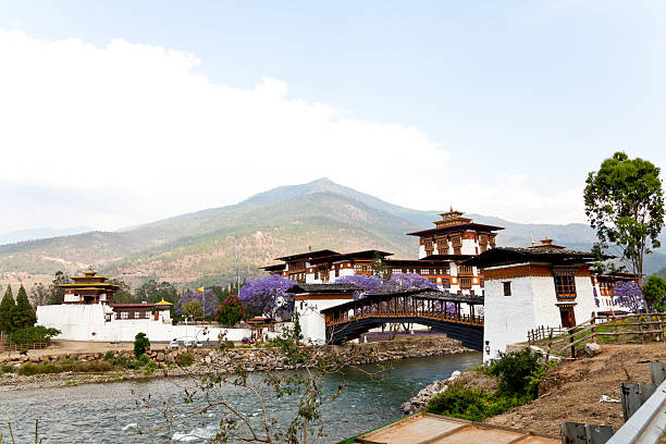 istock punakha dzong, bhutan 177419490