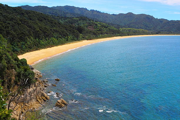 istock Abel Tasman National Park 177420546