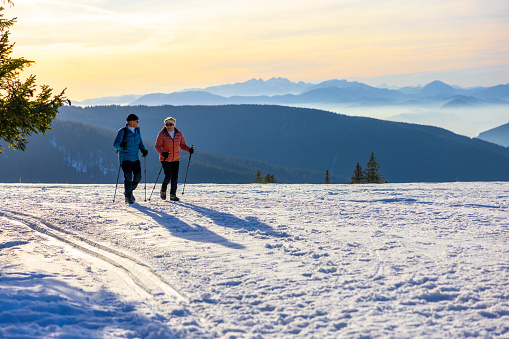 Senior couple in warm clothing holding hiking poles and walking on snowy winter landscape