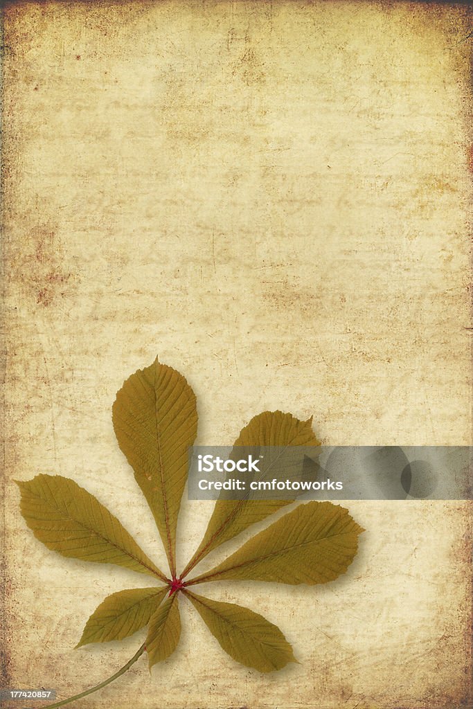 grunge background with autumn leave grunge background with chestnut autumn leave Arrangement Stock Photo