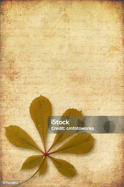 Grunge Background With Autumn Leave Stock Photo - Download Image Now - Arrangement, Arts Culture and Entertainment, Autumn