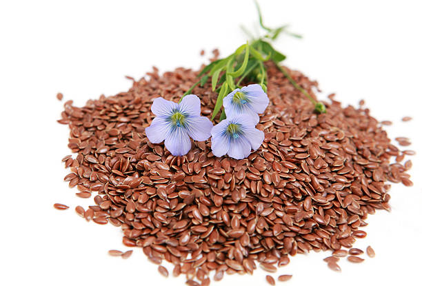 istock Linum usitatissimum - common flax 177421044