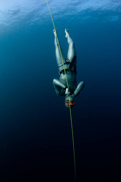 istock Free diving on a line- Bali INdoensia 177421501