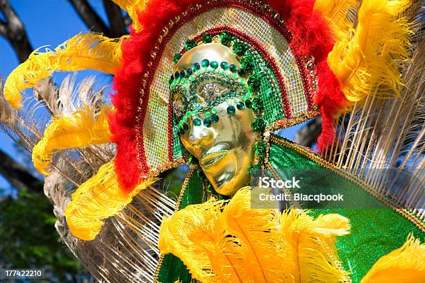 Color For Carnival Stock Photo - Download Image Now - Carnival - Celebration Event, Caribbean Culture, Trinidad - Trinidad And Tobago