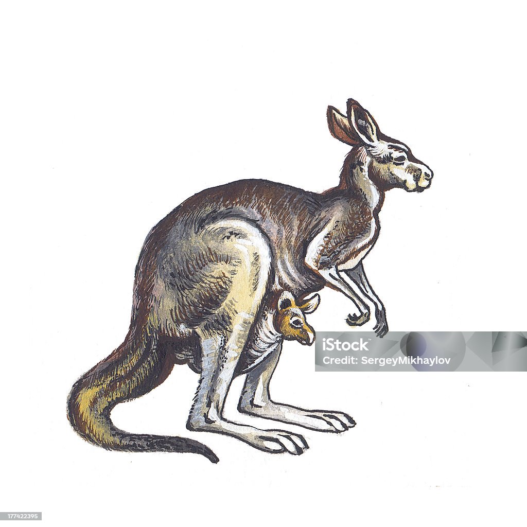 Kangaroo - Zbiór ilustracji royalty-free (Akwarela)