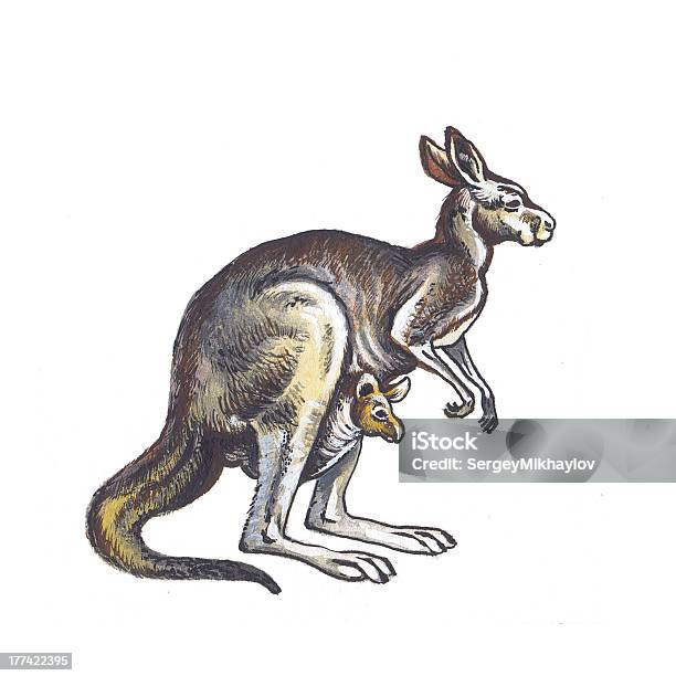 Kangaroo - Stockowe grafiki wektorowe i więcej obrazów Akwarela - Akwarela, Australia, Dowcip rysunkowy