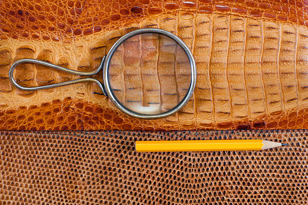 istock Crocodile and snake leather texture with magnifying glass, pencil 177422528