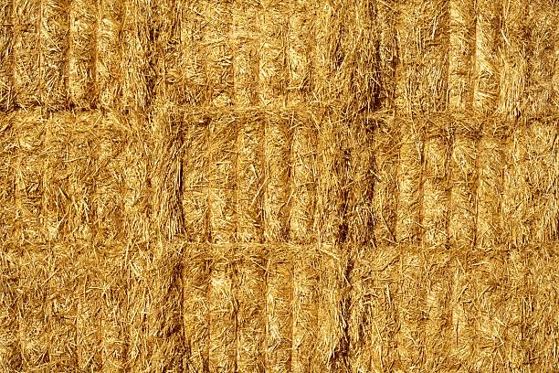 close-up of a straw bales wall built up after harvesting