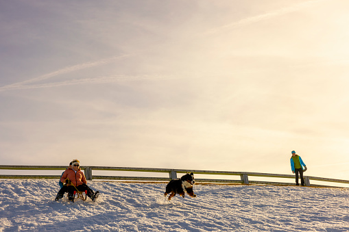Active senior couple enjoying sliding on a sled with Bernese mountain pet dog running on snowy winter slope
