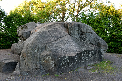 A close up on a massive, natural boulder, stone or rock laying in the middle of a public park and being covered with moss and grass seen next to some trees and shrubs in summer in Poland