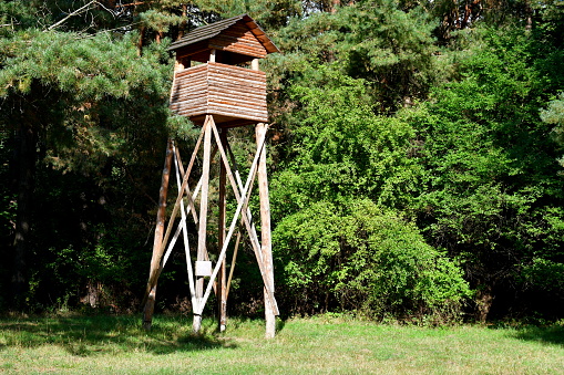 A close up on a tall watch tower or sentry tower made out of planks, logs, and boards standing in the middle of a vast forest or moor and next to a grove overgrown with grass and herbs seen in Poland