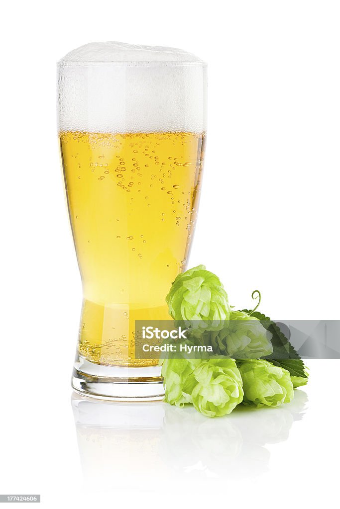 유리컵 신선한 맥주 버처 hops (흰색 바탕에 그림자와 - 로열티 프리 �맥주 스톡 사진