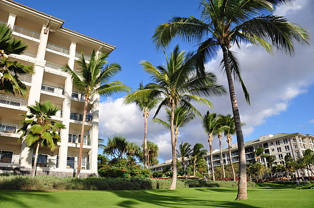 istock Palm trees and condos, Maui 177424609