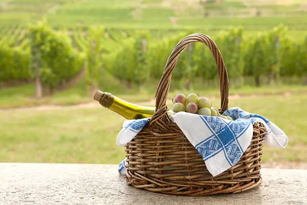 "Basket and bottle of white Pinot wine in front of a vineyard in Alsace, France"