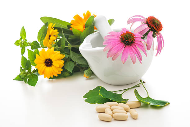 medycyna niekonwencjonalna - vitamin pill capsule pill echinacea zdjęcia i obrazy z banku zdjęć
