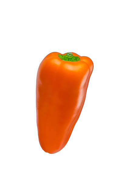 orange pepper stock photo