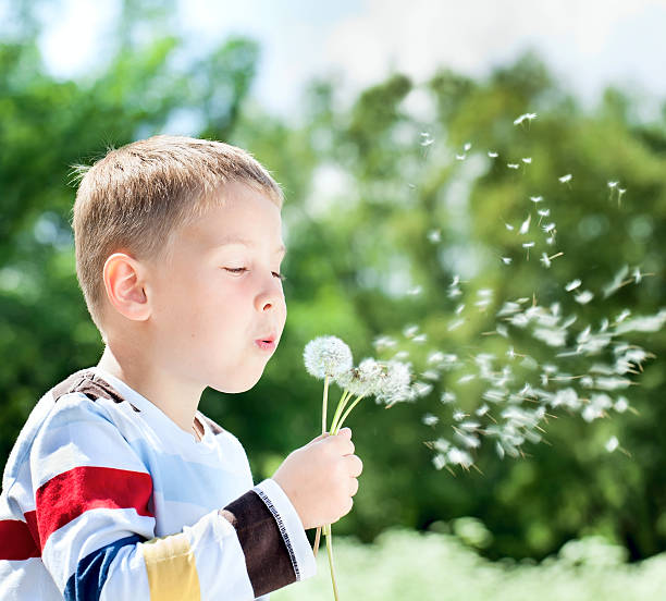 istock Beautiful Boy in the park blowing on dandelion 177425883