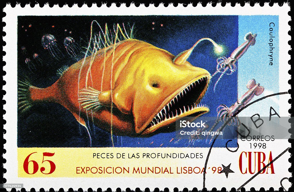 Caulophryne polynema Hairy Angler Fish Biolumiesent lure "CUBA - CIRCA 1998:  A stamp printed in Cuba the Hairy Angler Fish, Caulophryne polynema, hunting its pray with a bioluminescent lure, circa 1998.  - See lightbox for more" Anglerfish Stock Photo