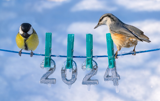 The background for a New Year and Christmas card, bluebird birds and a nuthatch sits on a rope on which frozen and snow-covered symbols of 2024 are attached with clothespins