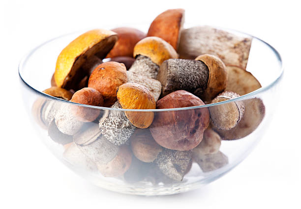 primas boletus tapa naranja en vidrio bowl - orange ohio fotografías e imágenes de stock