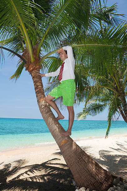 istock business man observing opportunities 177426576