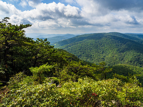 At Cranny Crow Overlook in West Virginia, you'll discover a world of wild and wonderful nature. The landscape is a captivating blend of rugged terrain, lush forests, and breathtaking vistas that invite exploration and a deep appreciation for the natural beauty of the region.