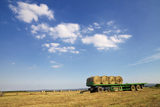 istock Hay Bales On Trailer 177427213