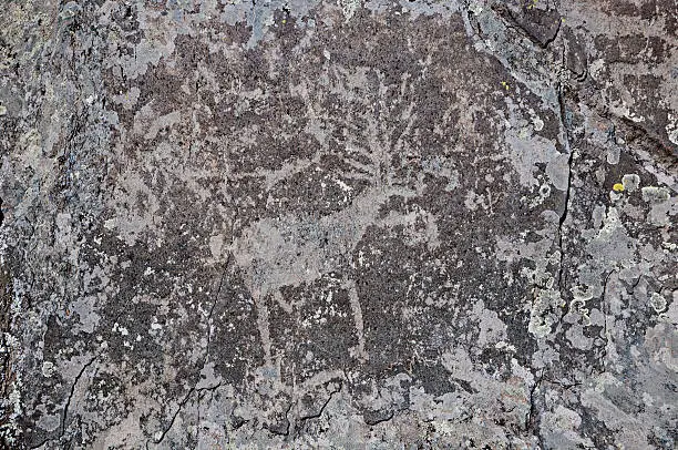 Prehistoric cave painting with the deer