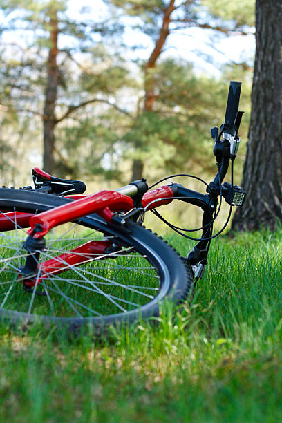istock Red Bike Close-up Lying on Green Grass 177428253