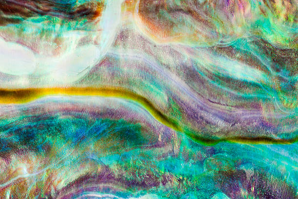 istock Shiny nacre of Paua or Abalone shell background 177428314