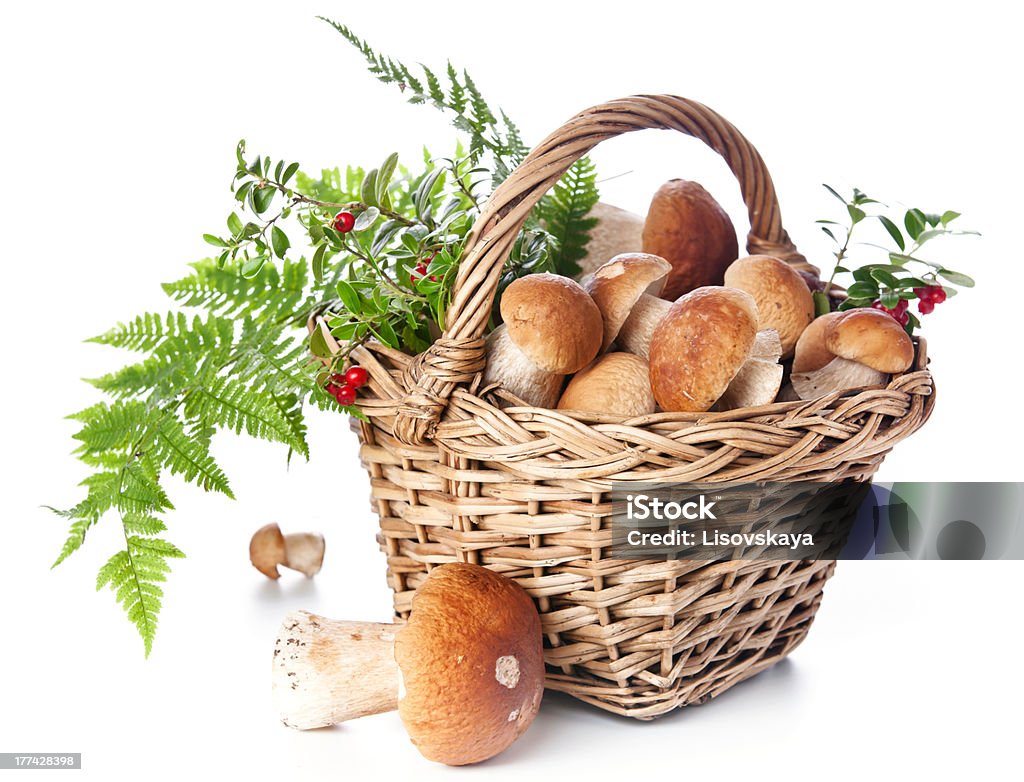 Boletus mushrooms in wicker basket Boletus mushrooms in wicker basket on white background Autumn Stock Photo