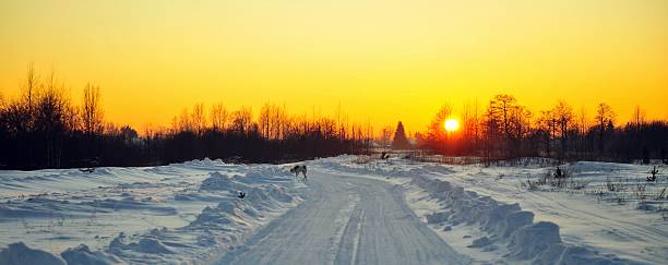 istock Winter sunset on the Road 177428838