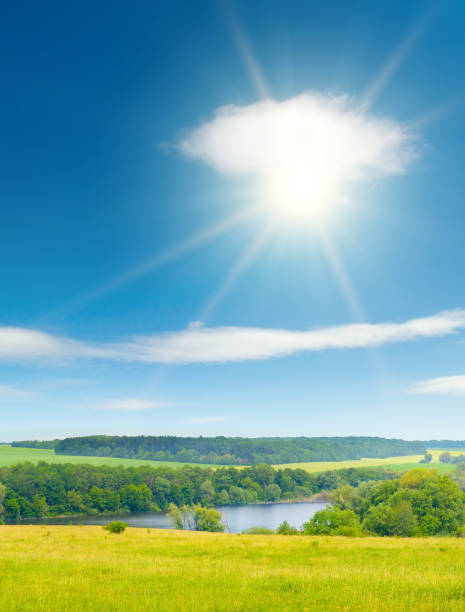 istock Summer pasture with fresh grass and blue sky with sun. 1774297048