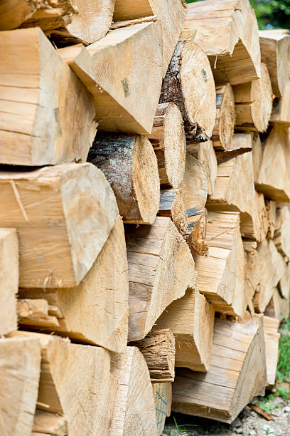 istock Neatly stacked wood logs 177429868