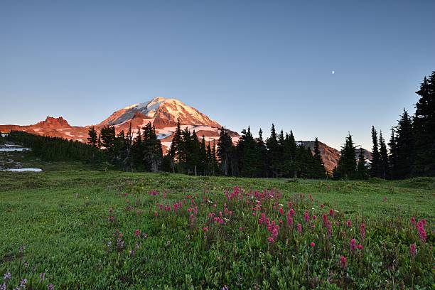 istock Spray Park in Mt. Rainier National 177429999