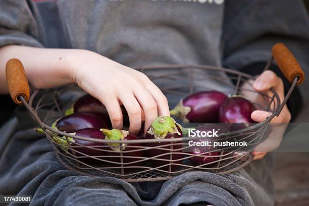 Basket Of Small Eggplants Holding By Kid Hands Stock Photo - Download Image Now - Agriculture, Backgrounds, Basket