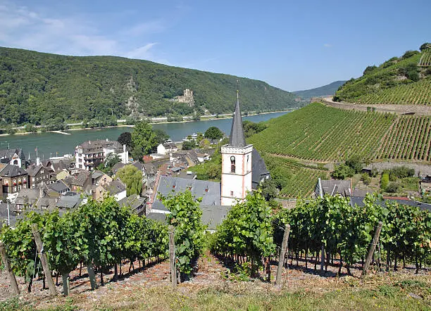 "the famous Village of Assmannshausen near Ruedesheim,Rhine River,Rheingau,Germany"