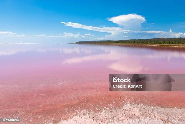 Strange Colored Water At Pink Lake Western Australia Stock Photo - Download Image Now
