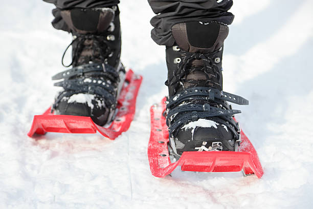 Snowshoes "Snowshoes. Snowshoeing closeup. Red new modern high-end snowshoes. Man hiking in snow on snowy winter day. Photo from Quebec, Canada.For more:" snowshoeing snow shoe red stock pictures, royalty-free photos & images