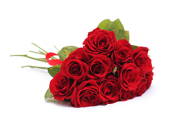 Red Roses Bouquet Red roses bouquet on white background dozen roses stock pictures, royalty-free photos & images
