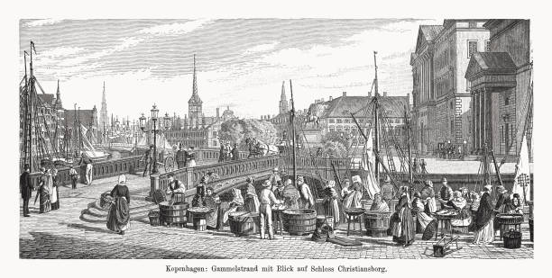Historical view of Copenhagen, Denmark, wood engraving, published in 1894 vector art illustration
