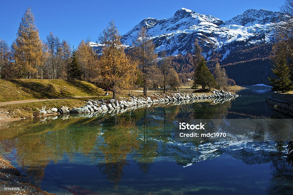 Swiss Lake Silvaplana Autumn reflections on the lake Silvaplana Autumn Stock Photo